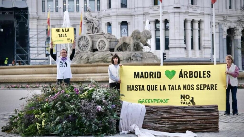 Greenpeace regala un ramo de 'poda' a Almeida en su boda por la tala de árboles en Madrid