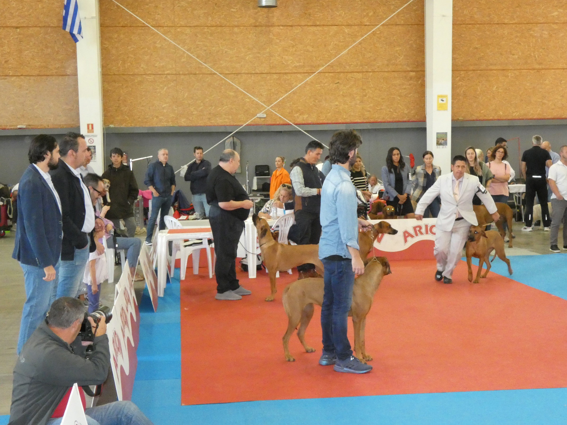 El Talavera Ferial acoge la Exposición Internacional Canina.