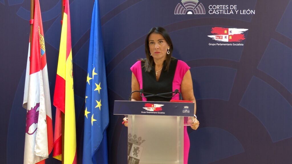 El PSOE asegura que desconocía la investigación de Cepa por abusos un menor hasta que informó el TSJCyL