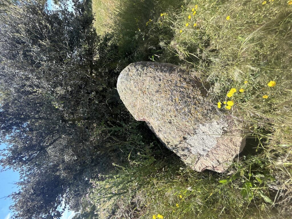 Técnicos de Patrimonio de la Junta y del Seprona evaluarán este viernes ‘in situ’ lo ocurrido con el menhir de Gamonal